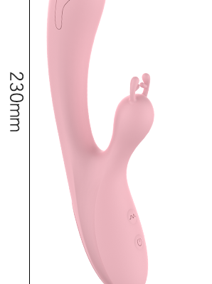 Rabbit Vibrator with Double Motors