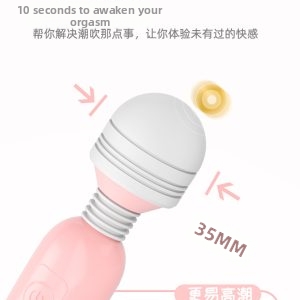 Wand Massager Vibrator