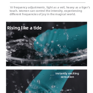 Premium Rabbit Vibrator