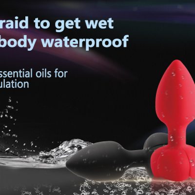 Remote Control Vibrating Anal Butt