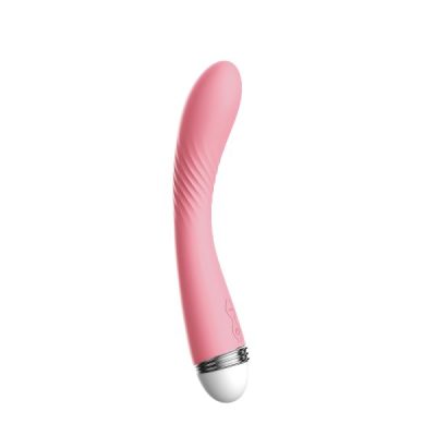 Bullet Vibrator Travel Size