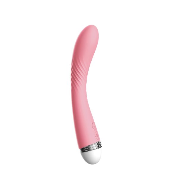 Bullet Vibrator Travel Size
